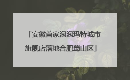 安徽首家泡泡玛特城市旗舰店落地合肥蜀山区
