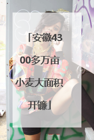 安徽4300多万亩小麦大面积开镰