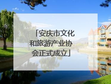 安庆市文化和旅游产业协会正式成立