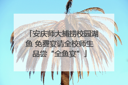 安庆师大捕捞校园湖鱼 免费宴请全校师生品尝“全鱼宴”
