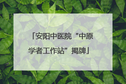 安阳中医院“中原学者工作站”揭牌
