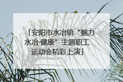 安阳市水冶镇“魅力水冶·健康”主题职工运动会精彩上演