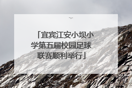 宜宾江安小坝小学第五届校园足球联赛顺利举行