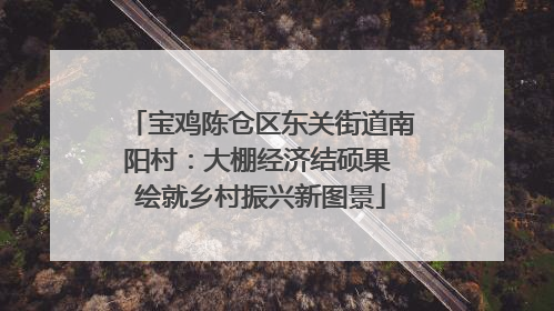 宝鸡陈仓区东关街道南阳村：大棚经济结硕果 绘就乡村振兴新图景