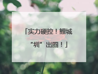 实力硬控！鲤城“圳”出圈！