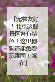 宠物友好！北京这些景区各有特色！这里狗狗还能免费玩跳圈！就在
