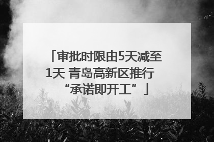审批时限由5天减至1天 青岛高新区推行“承诺即开工”