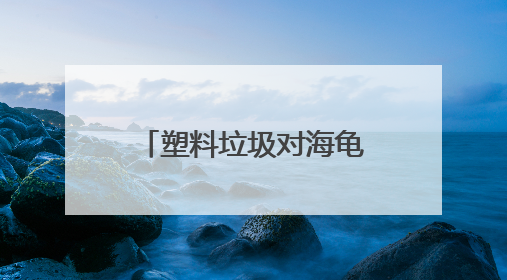 塑料垃圾对海龟有何致命伤害？世界环境日，走进开普敦海洋馆