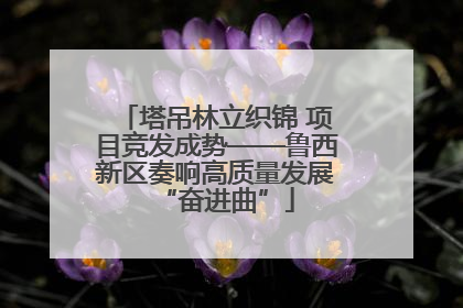 塔吊林立织锦 项目竞发成势——鲁西新区奏响高质量发展“奋进曲”