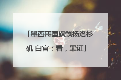 墨西哥国旗飘扬洛杉矶 白宫：看，罪证