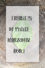 夏播正当时 竹山县抢抓农时保秋收