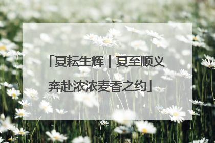 夏耘生辉｜夏至顺义奔赴浓浓麦香之约