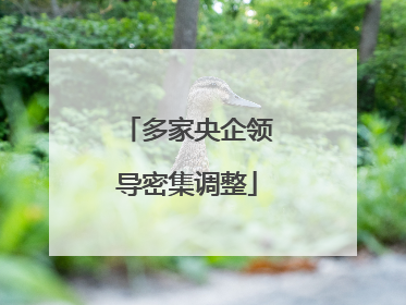 多家央企领导密集调整