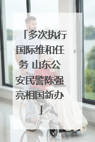 多次执行国际维和任务 山东公安民警陈强亮相国新办