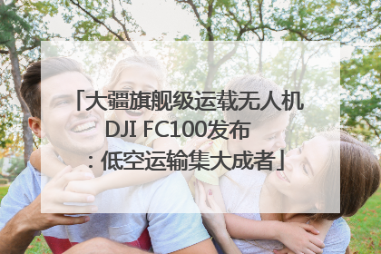 大疆旗舰级运载无人机DJI FC100发布：低空运输集大成者