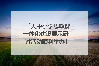 大中小学思政课一体化建设展示研讨活动顺利举办