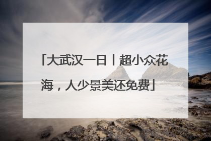 大武汉一日丨超小众花海，人少景美还免费