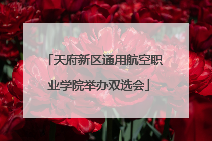 天府新区通用航空职业学院举办双选会