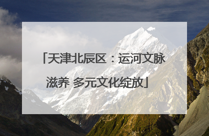 天津北辰区：运河文脉滋养 多元文化绽放