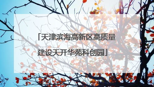 天津滨海高新区高质量建设天开华苑科创园
