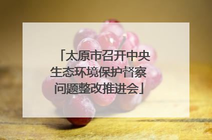 太原市召开中央生态环境保护督察问题整改推进会