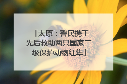 太原：警民携手 先后救助两只国家二级保护动物红隼