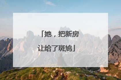 她，把新房让给了斑鸠