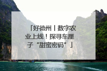 好德州丨数字农业上线！探寻车厘子“甜蜜密码”