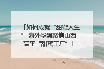 如何成就“甜蜜人生” 海外华媒聚焦山西高平“甜蜜工厂”