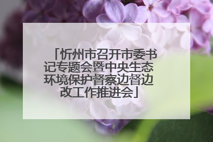 忻州市召开市委书记专题会暨中央生态环境保护督察边督边改工作推进会