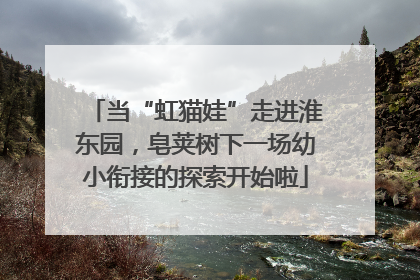 当“虹猫娃”走进淮东园，皂荚树下一场幼小衔接的探索开始啦