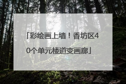 彩绘画上墙！香坊区40个单元楼道变画廊