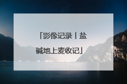 影像记录丨盐碱地上麦收记