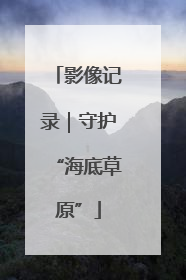 影像记录｜守护“海底草原”