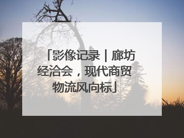 影像记录｜廊坊经洽会，现代商贸物流风向标