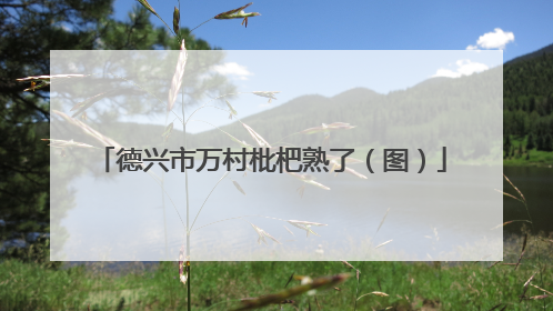 德兴市万村枇杷熟了（图）