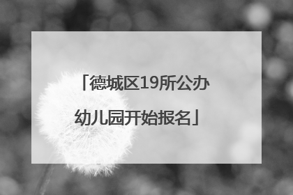 德城区19所公办幼儿园开始报名