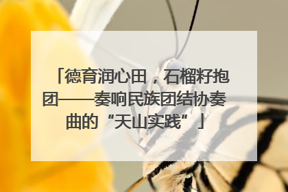 德育润心田，石榴籽抱团——奏响民族团结协奏曲的“天山实践”