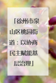 徐州市泉山区桃园街道：以协商民主赋能基层治理