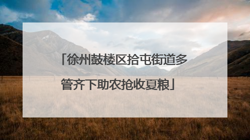 徐州鼓楼区拾屯街道多管齐下助农抢收夏粮