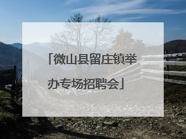 微山县留庄镇举办专场招聘会