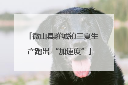 微山县驩城镇三夏生产跑出 “加速度”