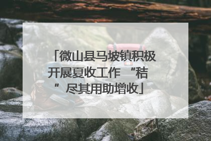 微山县马坡镇积极开展夏收工作 “秸”尽其用助增收