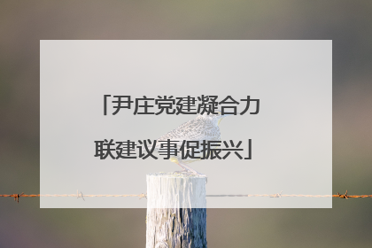 尹庄党建凝合力 联建议事促振兴