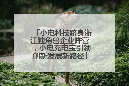 小电科技跻身浙江独角兽企业阵营，小电充电宝引领创新发展新路径