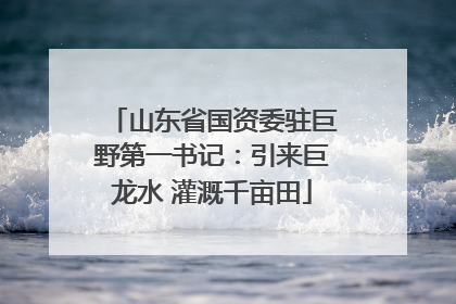 山东省国资委驻巨野第一书记：引来巨龙水 灌溉千亩田