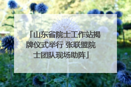 山东省院士工作站揭牌仪式举行 张联盟院士团队现场助阵