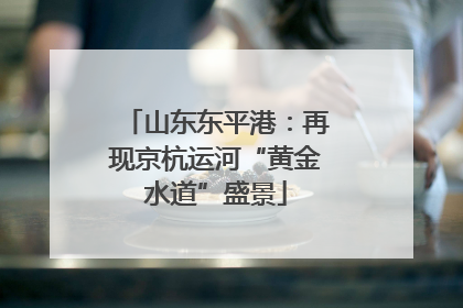 山东东平港：再现京杭运河“黄金水道”盛景