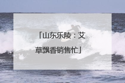 山东乐陵：艾草飘香销售忙