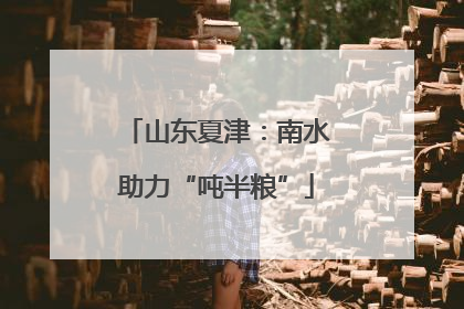 山东夏津：南水助力“吨半粮”